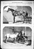 Old 1866 Metropolitan Horse Show Winners Prize Hunter Hack Pony Stabl Victorian