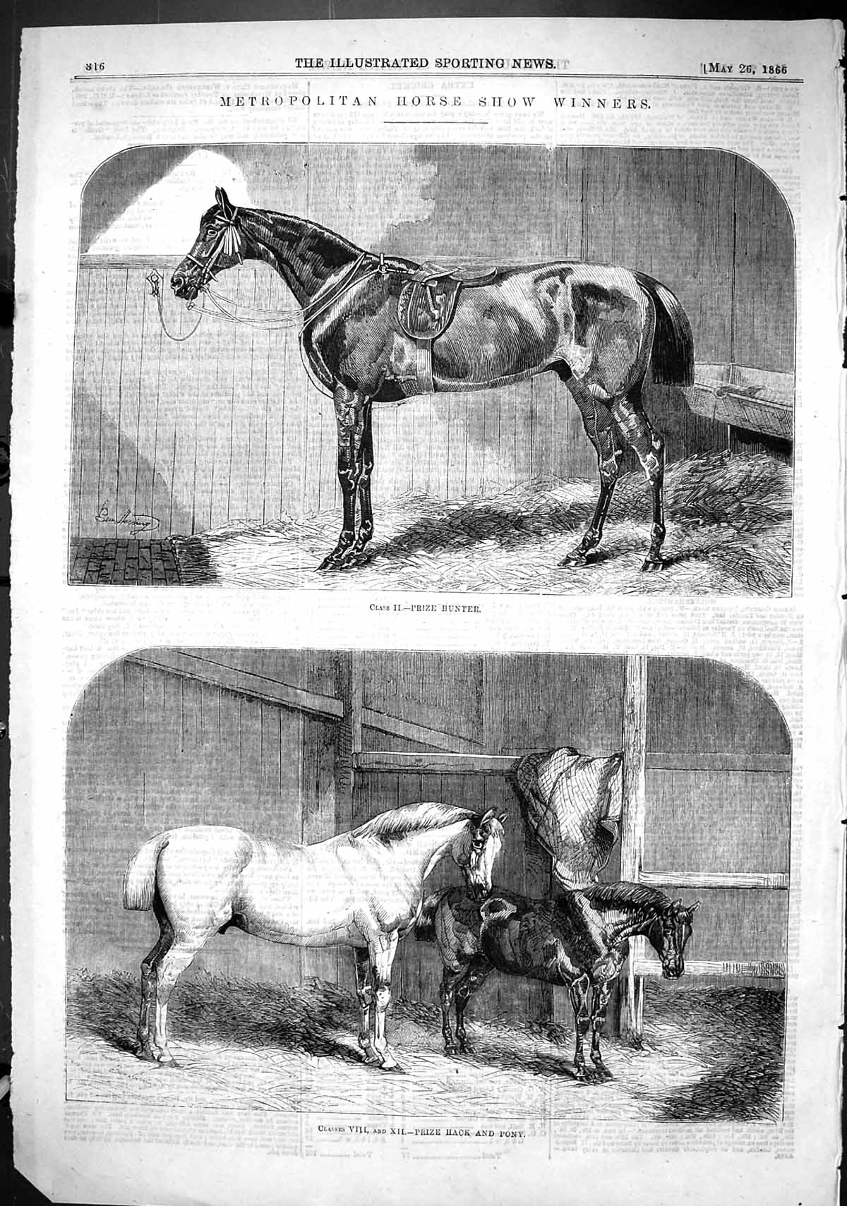 Old 1866 Metropolitan Horse Show Winners Prize Hunter Hack Pony Stabl Victorian