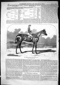 Antique Old Print 1867 Horse Racing Hermit Winner Derby Jockey Ben Herring 19th