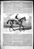 Antique Old Print 1867 Horse Racing Hippia Winnner Oaks Jockey Ben Herring 19th