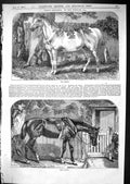 Original Old Antique Print 1867 Ben Herring Bishop Curate Horses 19th