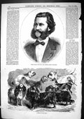 Old Print 1867 Herr Johann Strauss Distinguished Composer Group Toy Dogs 19th