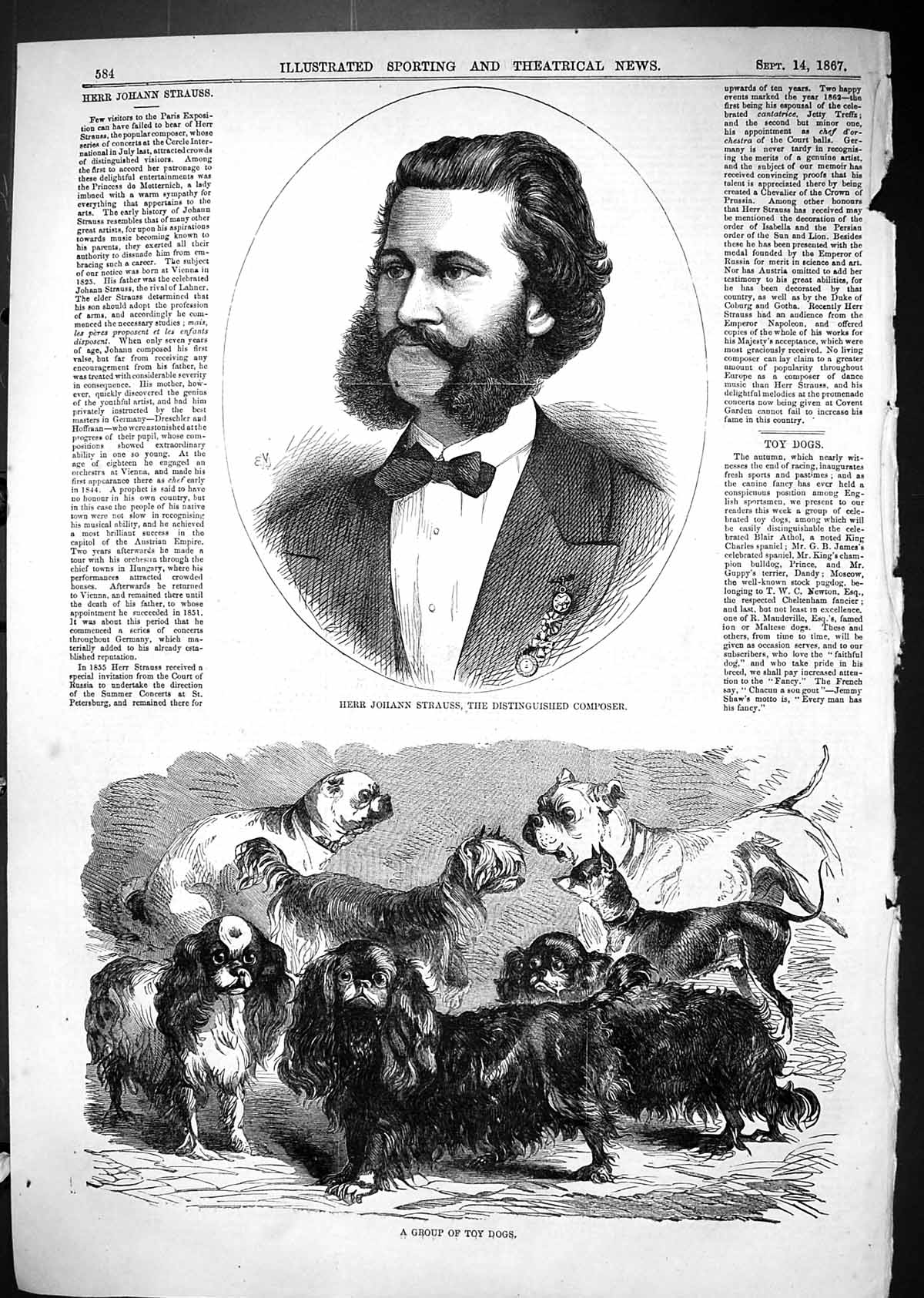 Old Print 1867 Herr Johann Strauss Distinguished Composer Group Toy Dogs 19th