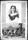 Antique Print 1867 Madame Jetty De Trefez Vocalist Setter Dog Work Hunting 19th