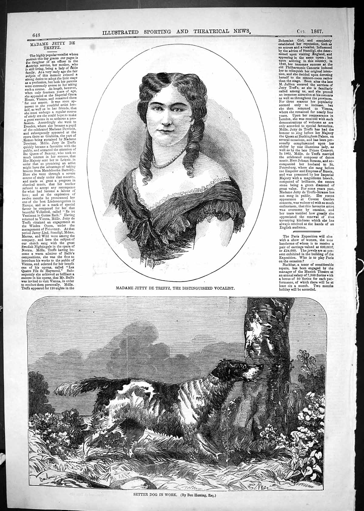 Antique Print 1867 Madame Jetty De Trefez Vocalist Setter Dog Work Hunting 19th