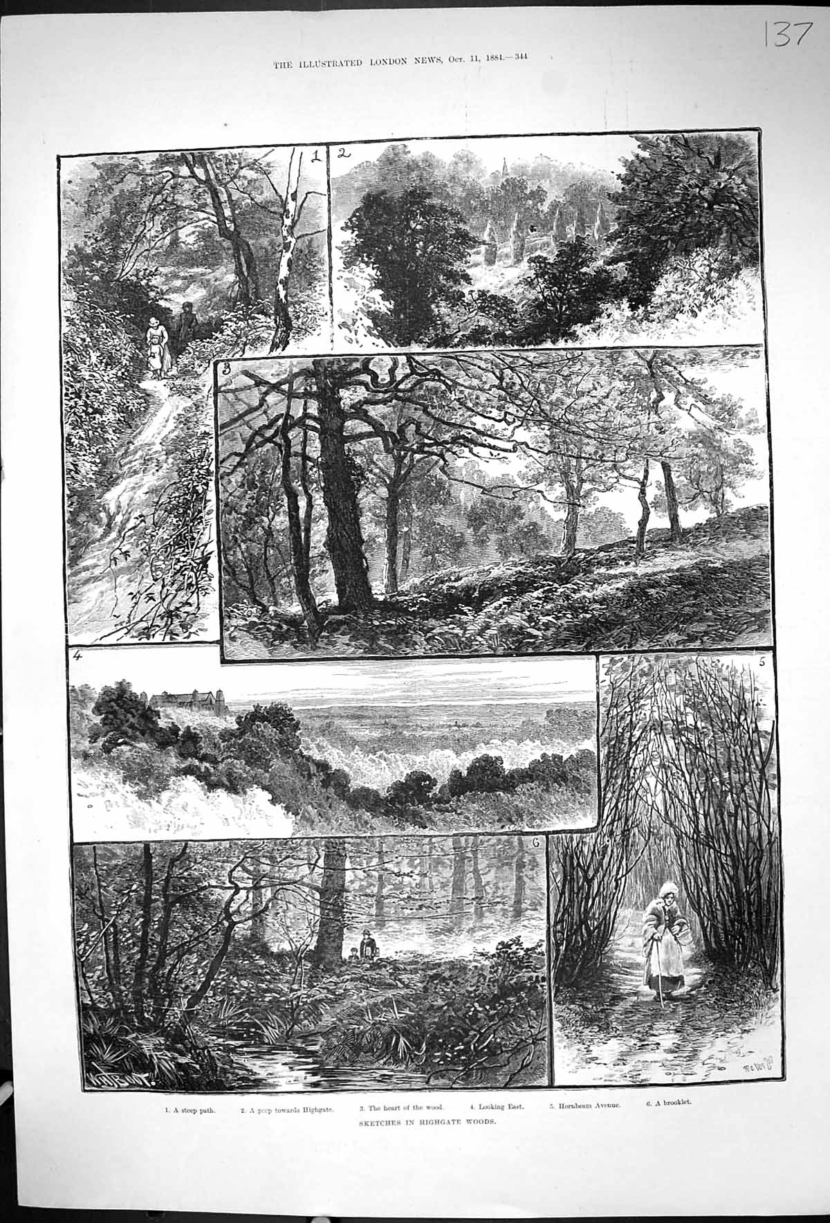 Original Old Antique Print 1884 Highgate Woods Hornbeam Avenue Brooklet Forest