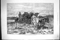 Old Antique Print 1881 Ploughing Sussex Downs Cattle Plough Agricultrue 19th