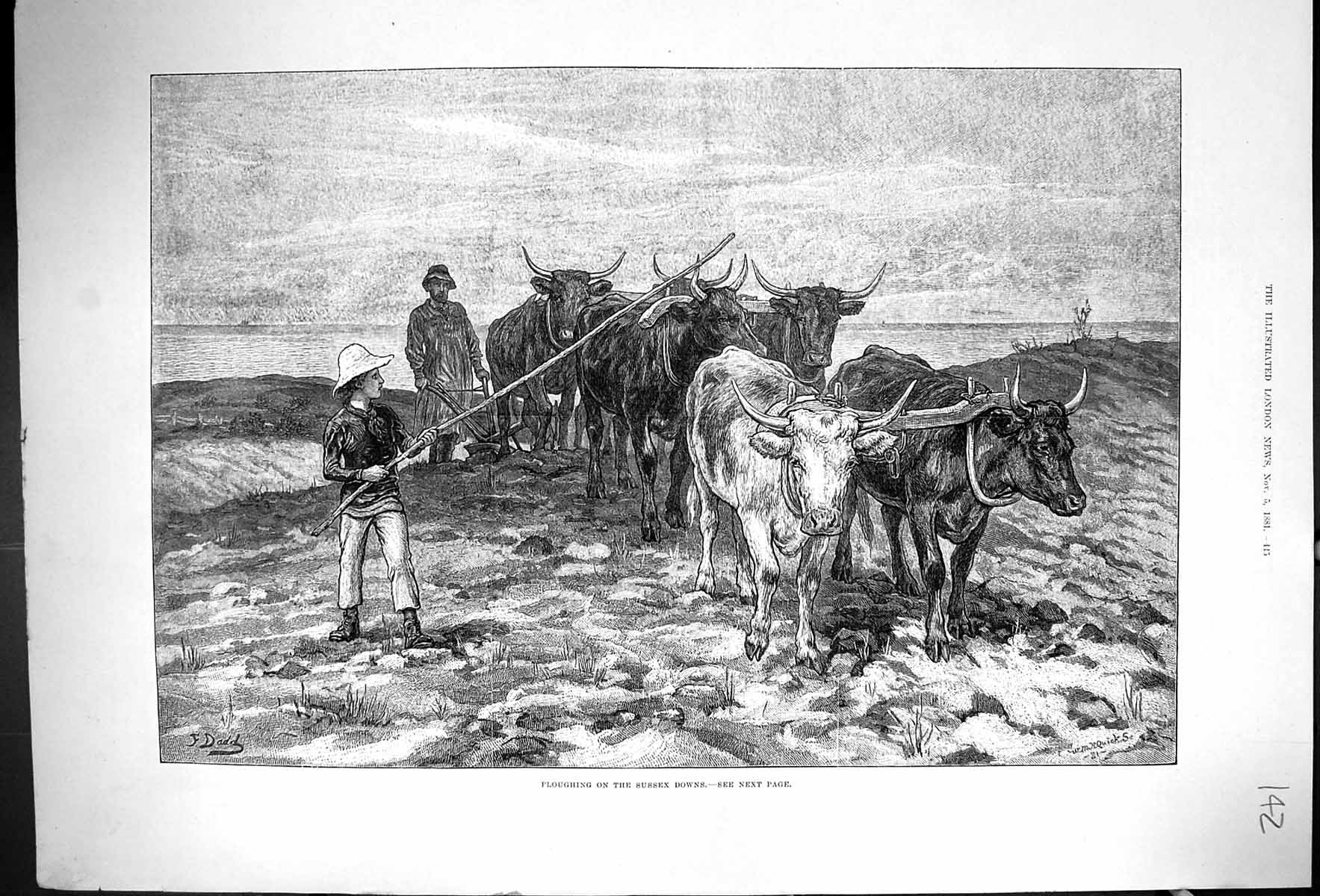 Old Antique Print 1881 Ploughing Sussex Downs Cattle Plough Agricultrue 19th