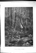 Original Old Antique Print 1881 Place For A Picnic Forest Stream Montbard 19th