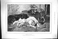 Original Old Antique Print Noble 1892 Tired Out Hunting Dogs Dead Birds 19th