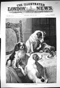 Old Antique Print 1892 Humming Top Table Pet Dogs Watching Fannie Moody 19th