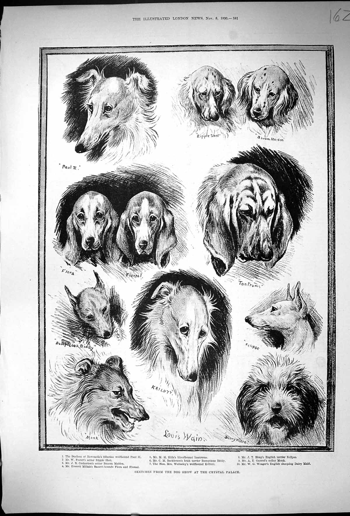 Old Wain 1890 Dog Show Crystal Palace Heap Garrod Weager Hills Foster Victorian