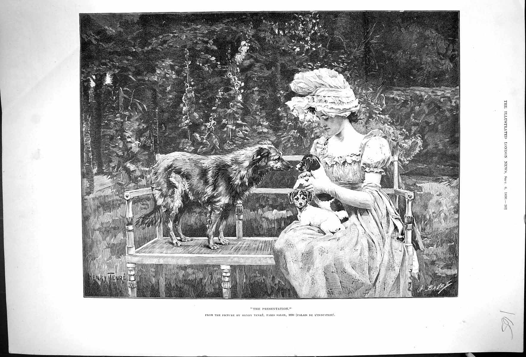 Original Old Antique Print Henry Tenre 1890 Presentation Young Woman Puppy Dogs