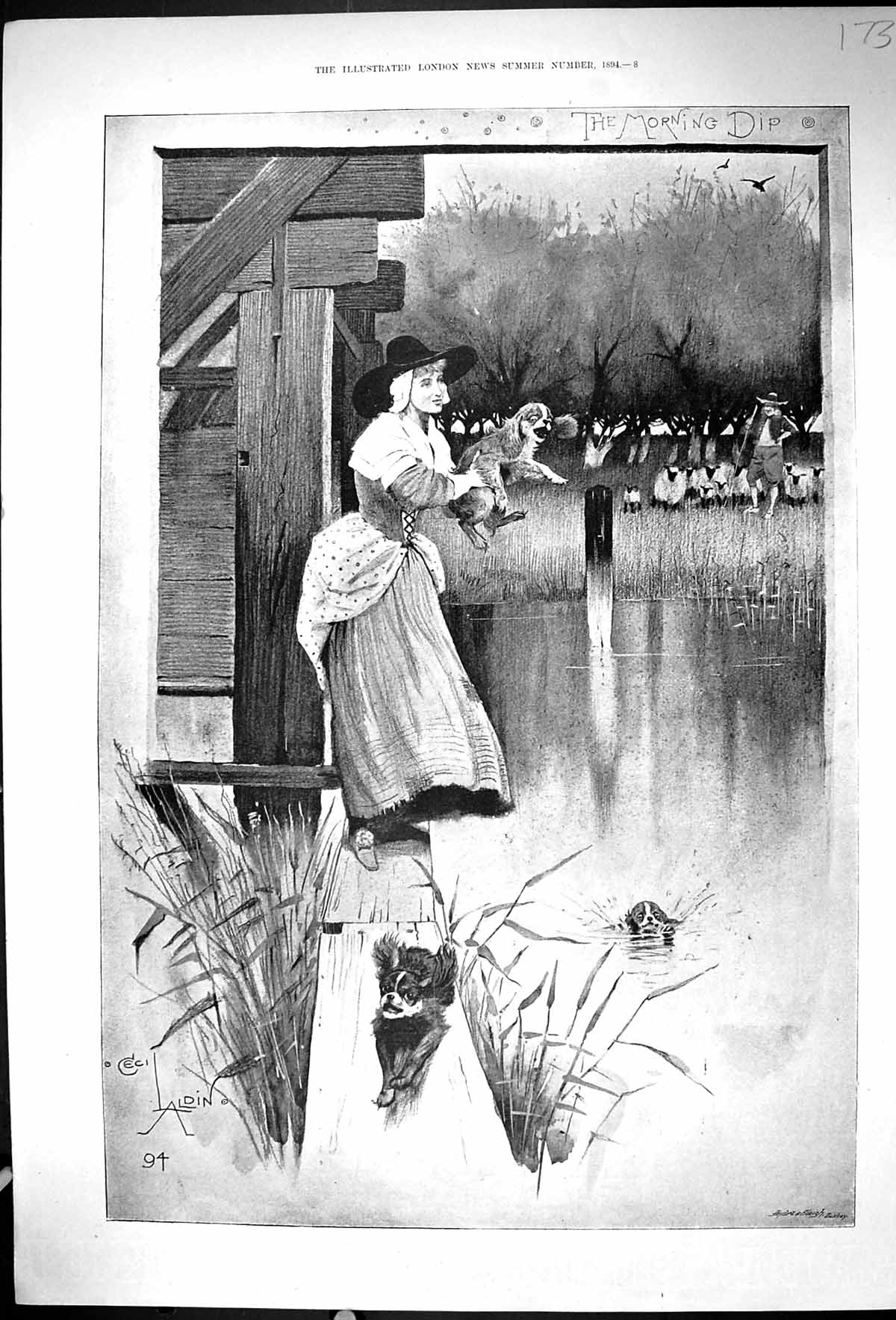 Original Old Antique Print 1894 Morning Dip Sheep Shepherd Woman Dogs Lake 19th