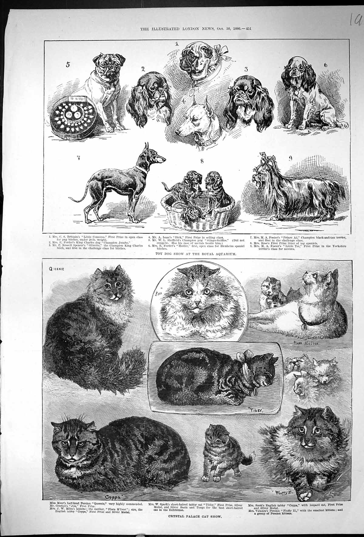 Antique Old Print 1886 Crystal Palace Dog Show Royal Aquarium Pets Animals 19th