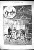 Original Old Antique Print 1893 Prince Princess Wales Sandringham Dogs Kitchen