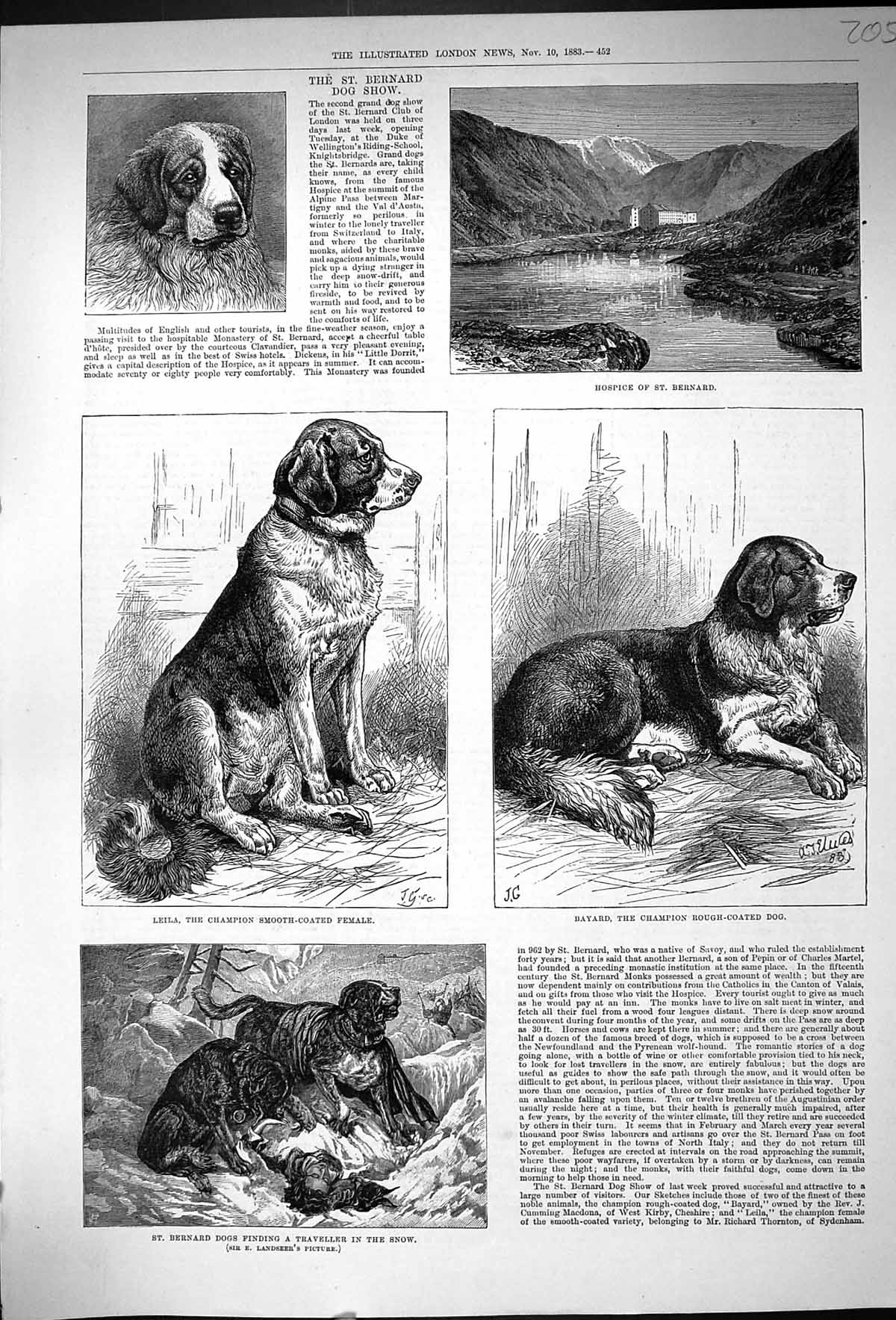Antique Print 1883 St. Bernard Dog Show Leila Bayard Hospice Traveller Snow