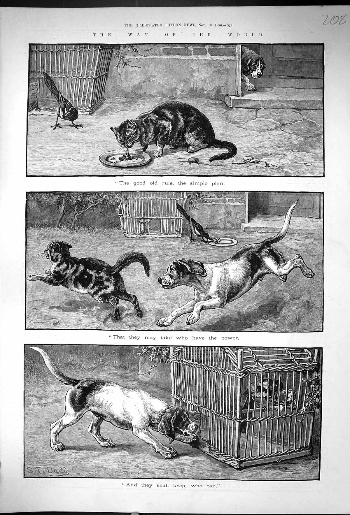 Original Old Antique Print 1886 Dogs Cats Way The World Dadd Birds Cage 19th