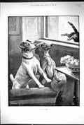 Old Print 1894 Pet Dogs Cat Jumping Out Window Just In Time Fannie Moody 19th