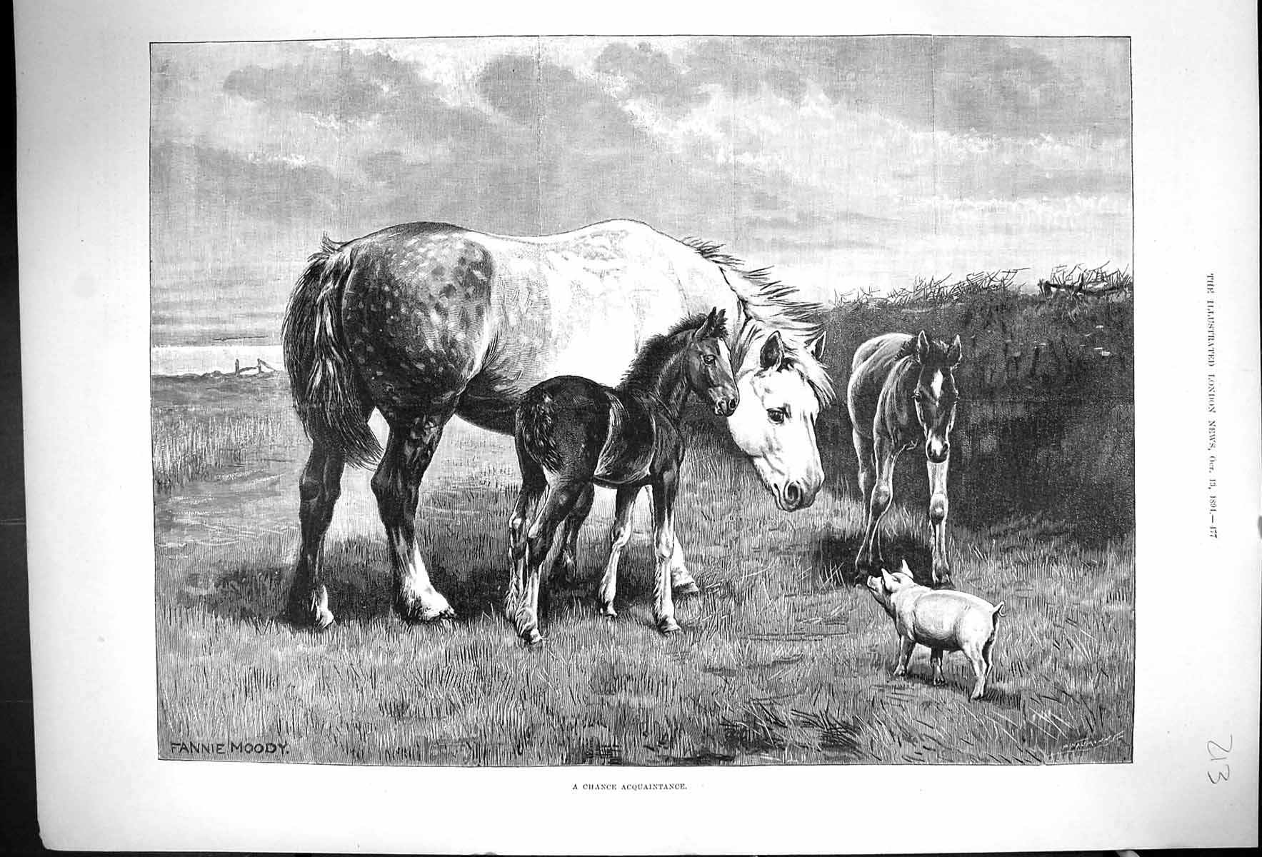 Antique Old Print 1894 Chance Aquaintance Horses Foals Field Pig Fannie Moody
