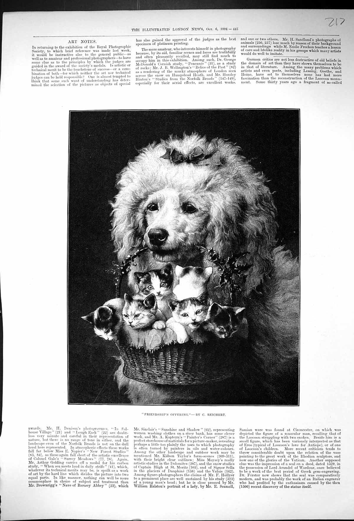 Antique Old Print 1894 Freindship'S Offering Pet Dog Kittens Basket Reichert