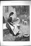 Original Old Antique Print 1886 Orphans Young Woman Pet Lamb Churchyard 19th