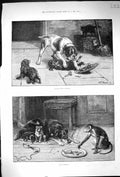 Old Antique Print 1884 Robbery Violence Pet Dogs Monkey Food Animals Dadd 19th