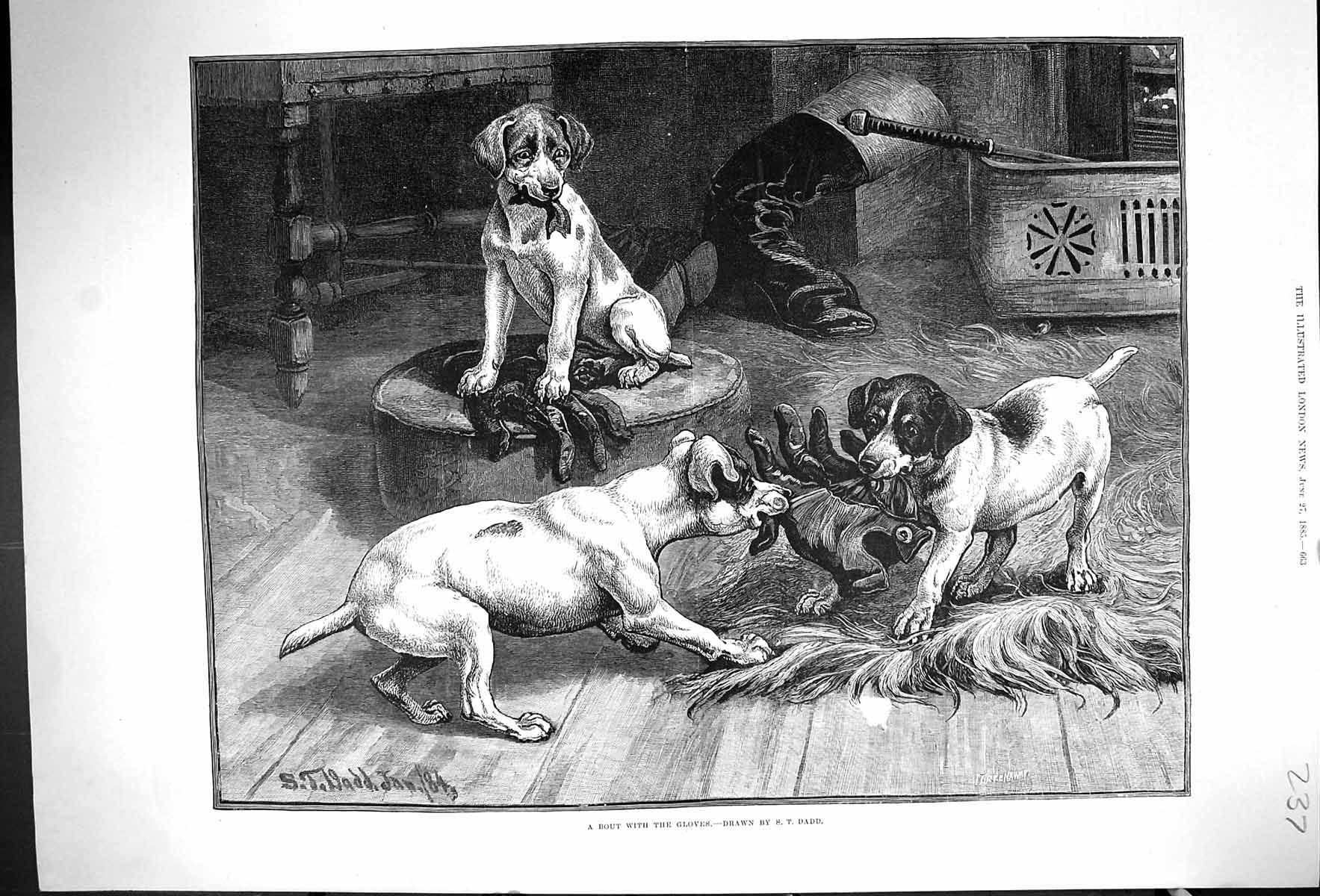 Original Old Antique Print Dadd 1885 Bout With The Gloves Pets Dogs Fighting