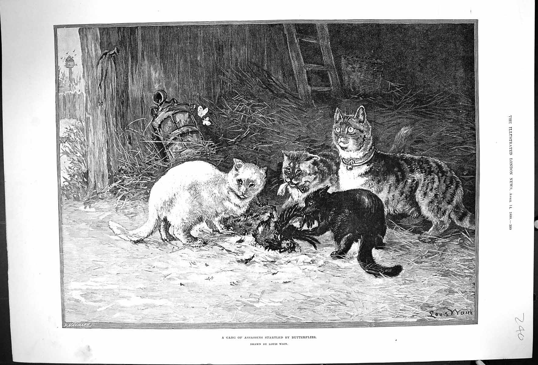 Old Print Gang Assassins Startled Butterflies Cats Eating Dead Bird 1888 19th