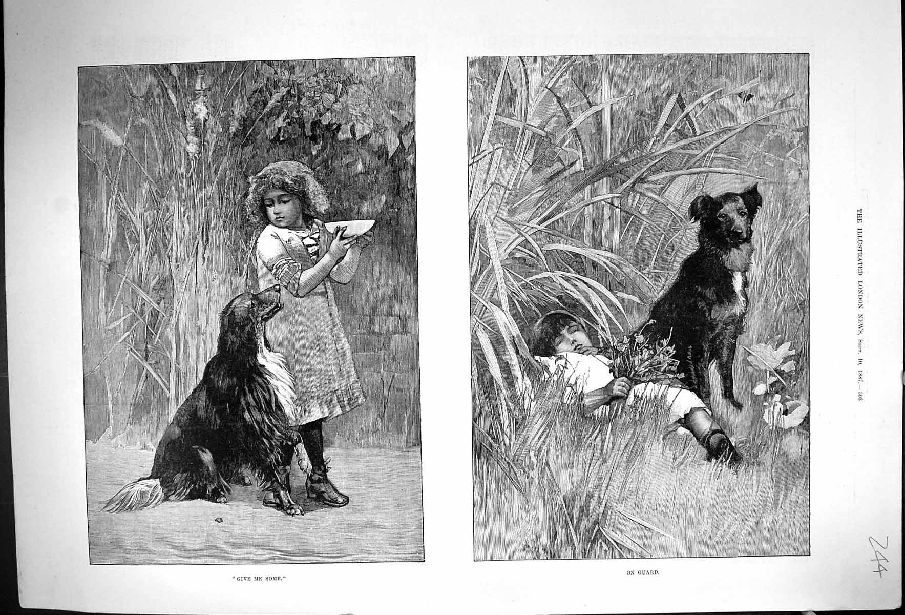 Original Old Antique Print 1887 Young Girl Sleeping Flowers Pet Dog Food Bowl