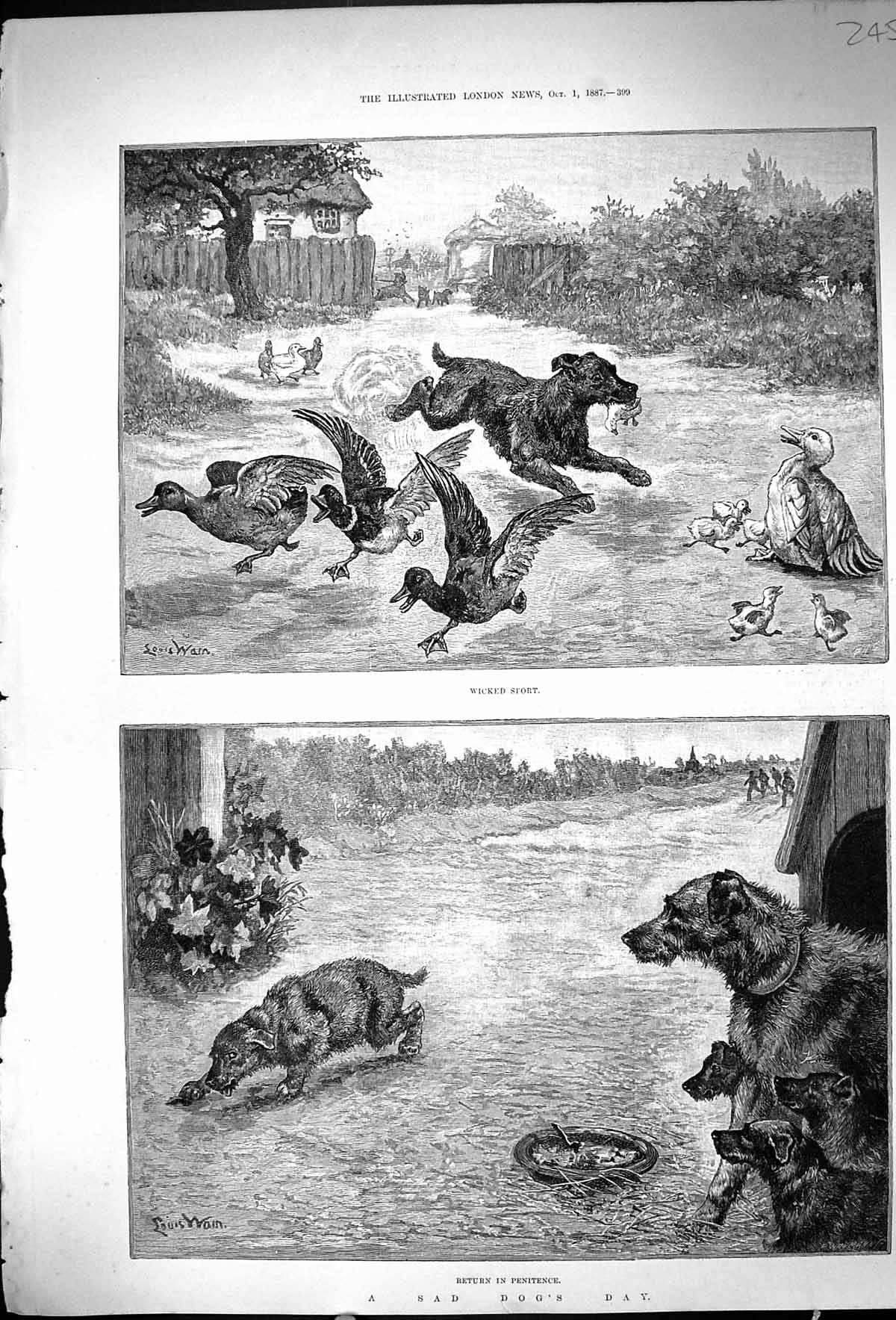 Old Louis Wain 1887 Sad Dog'S Day Dog Stealing Chicken Kennel Puppies Victorian