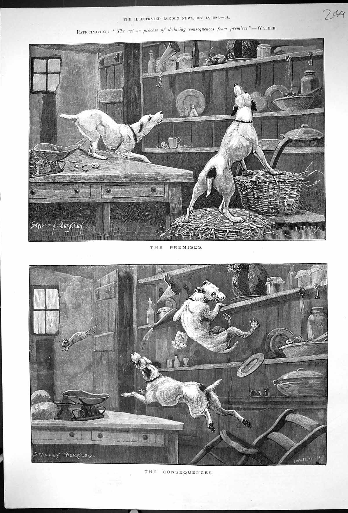 Original Old Antique Print Pets Dogs Animals Climbing Up Cupboard 1886 19th