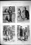 Antique Old Print 1881 Zoological Gardens Animals Parrot Dog Seal Messmates