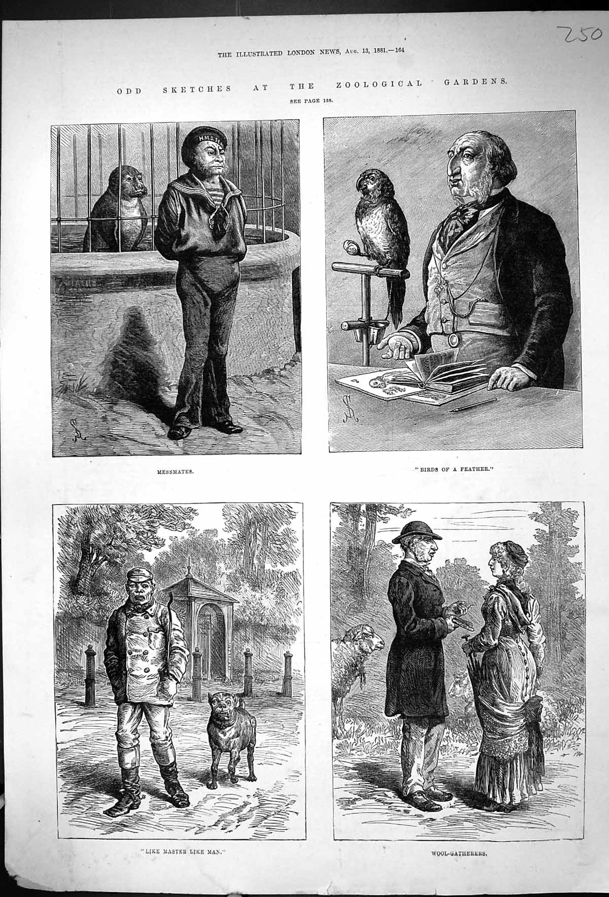 Antique Old Print 1881 Zoological Gardens Animals Parrot Dog Seal Messmates