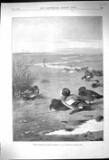 Original Old Antique Print 1896 Wildfowl Birds Mud Flats Archibald Thorburn