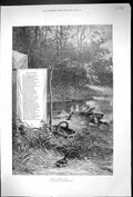 Original Old Antique Print 1880 Wagtails Birds Poem Nature Lake Trees Victorian
