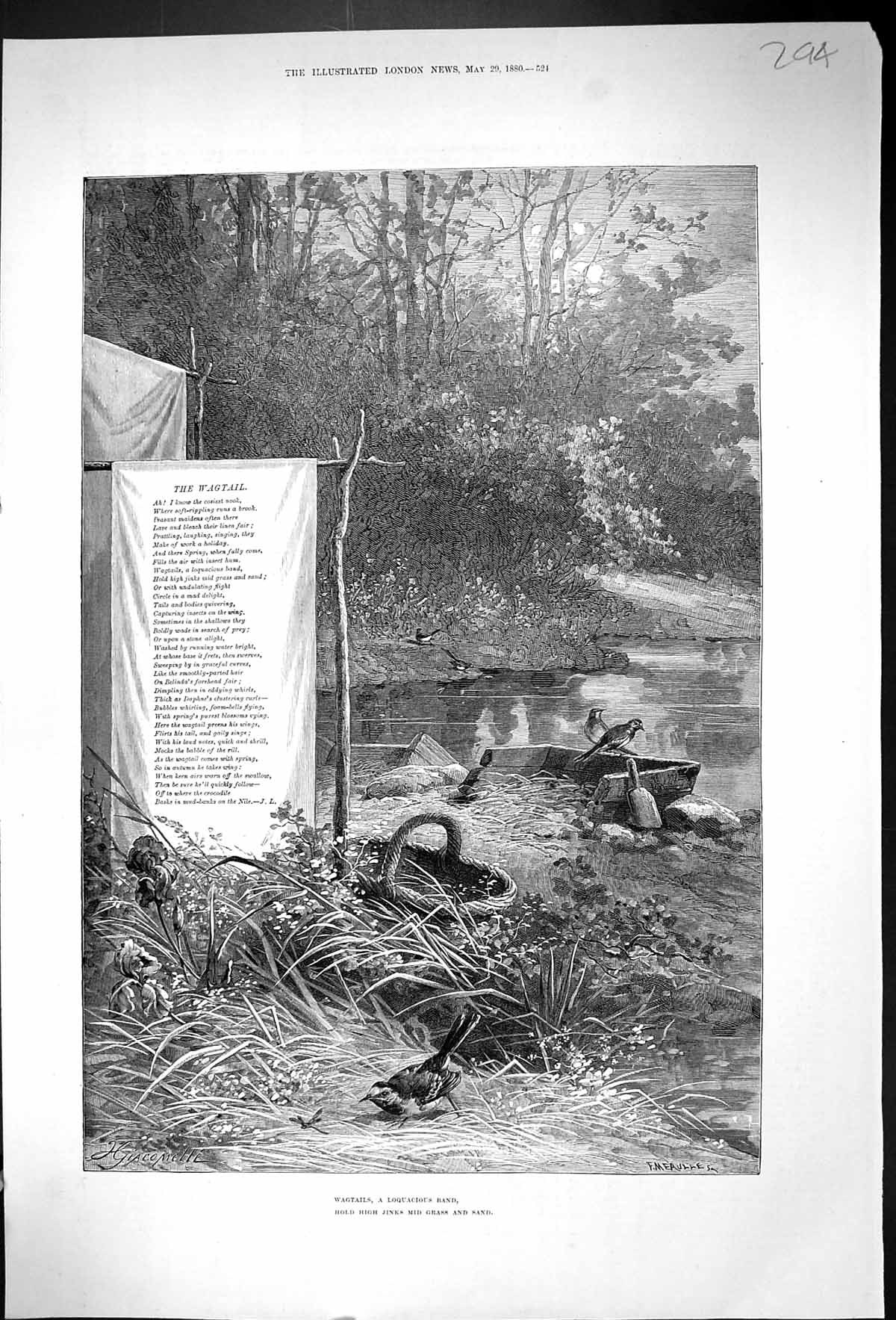 Original Old Antique Print 1880 Wagtails Birds Poem Nature Lake Trees Victorian