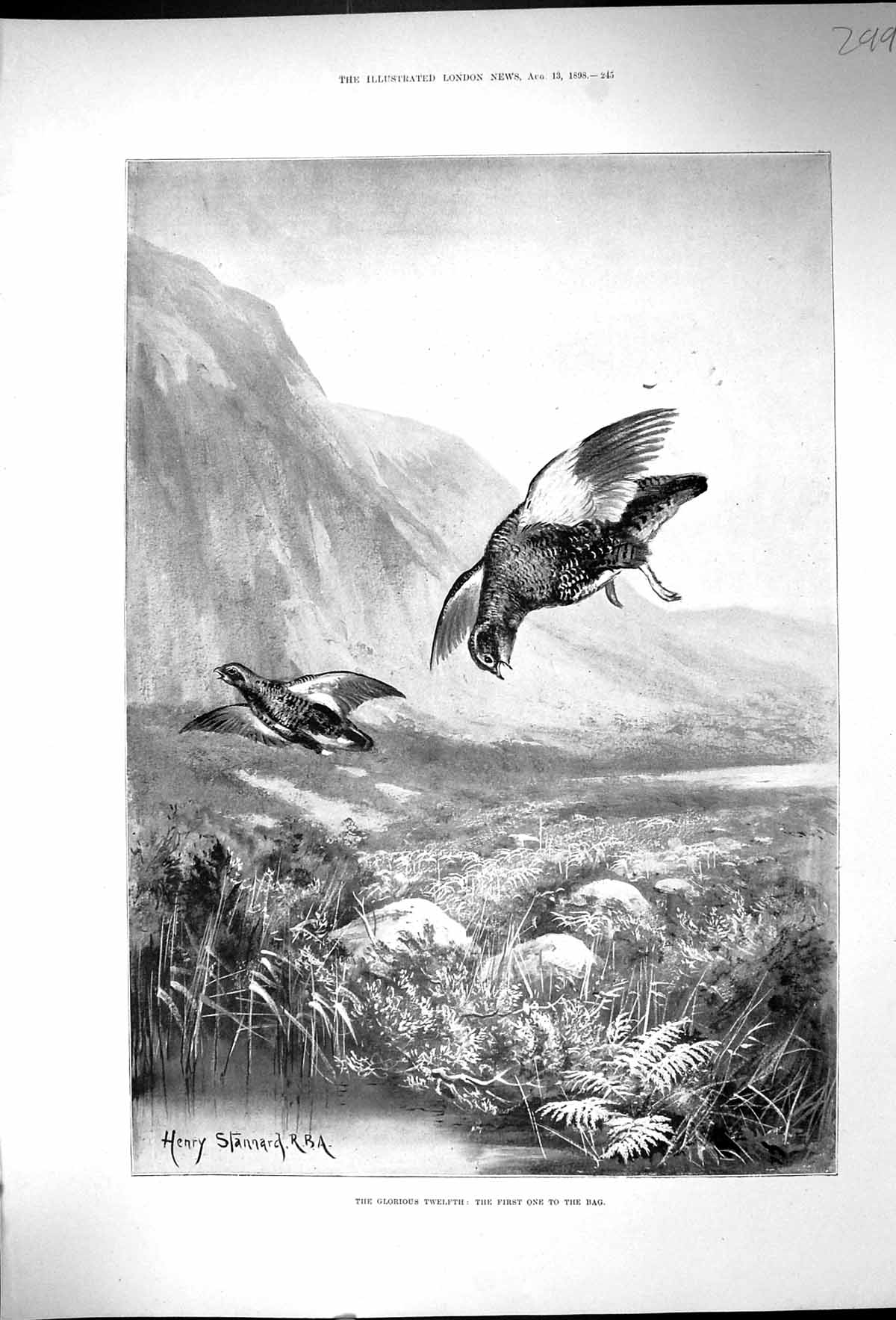 Original Old Antique Print Stannard 1898 Twelfth Grouse Birds Hunting Sport