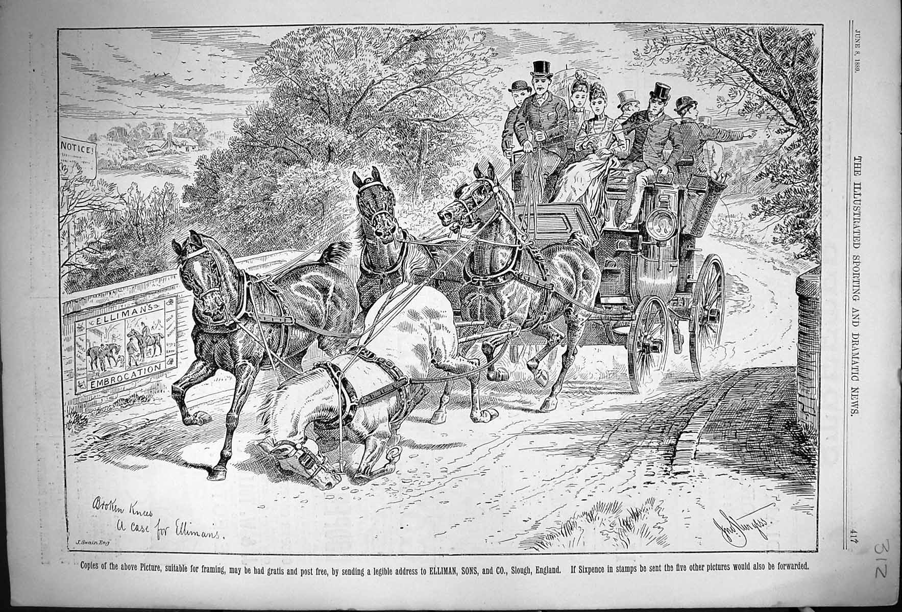 Old Print 1889 Advertisement Ellimans Embrocation Horses Coach Transport 19th