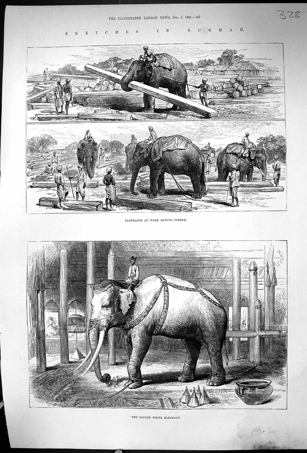 Old Antique Print 1885 Elephants Work Moving Timber Sacred White Burmah 19th