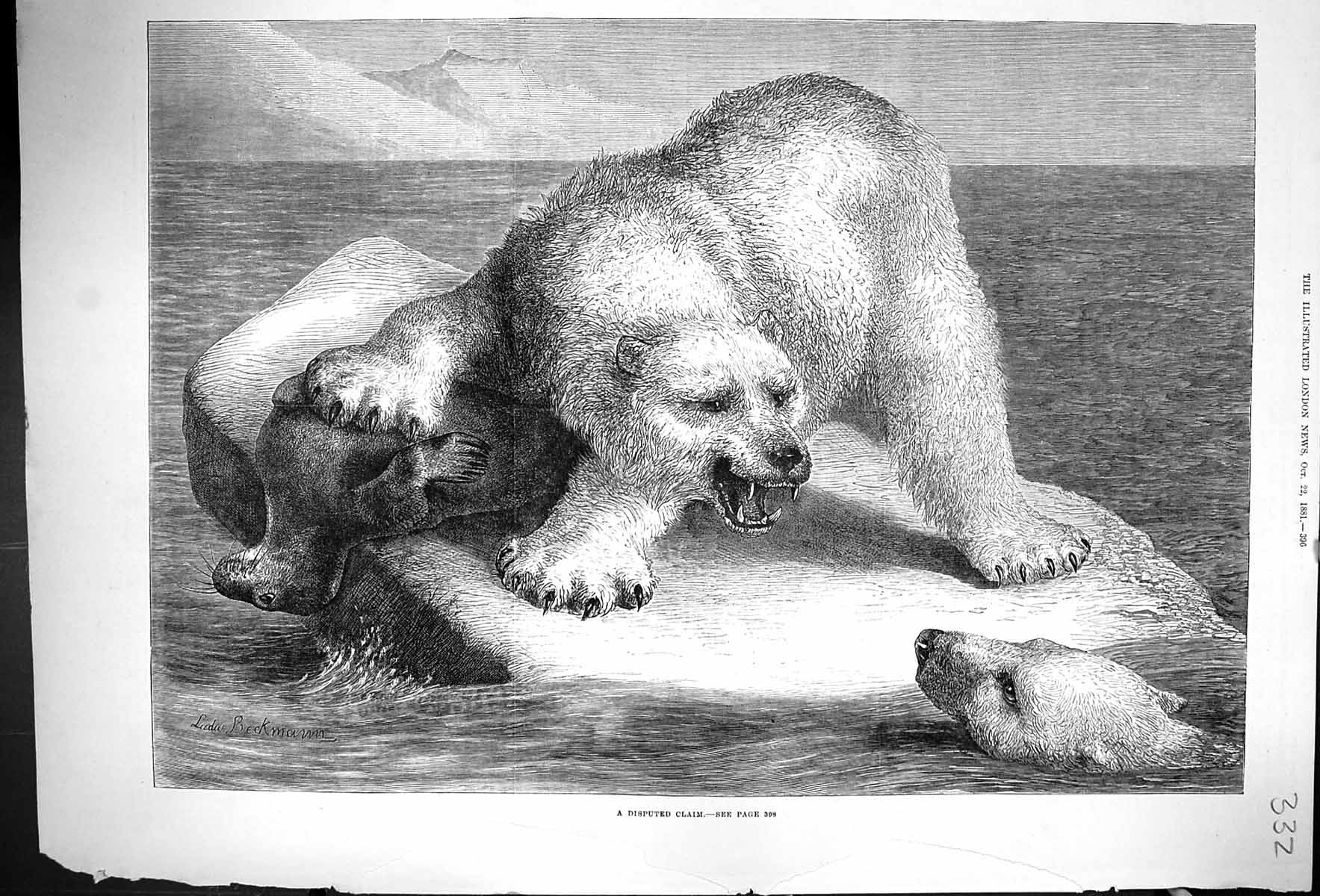 Old 1881 Disputed Claim Polar Arctic Bears Iceberg Dead Seal Beckmann Victorian