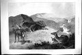 Antique Old Print 1896 Sport Archibald Thorburn Deer Condemned Death Hunting