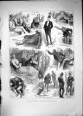 Original Old Antique Print 1882 Houses Parliament Commons London England 19th