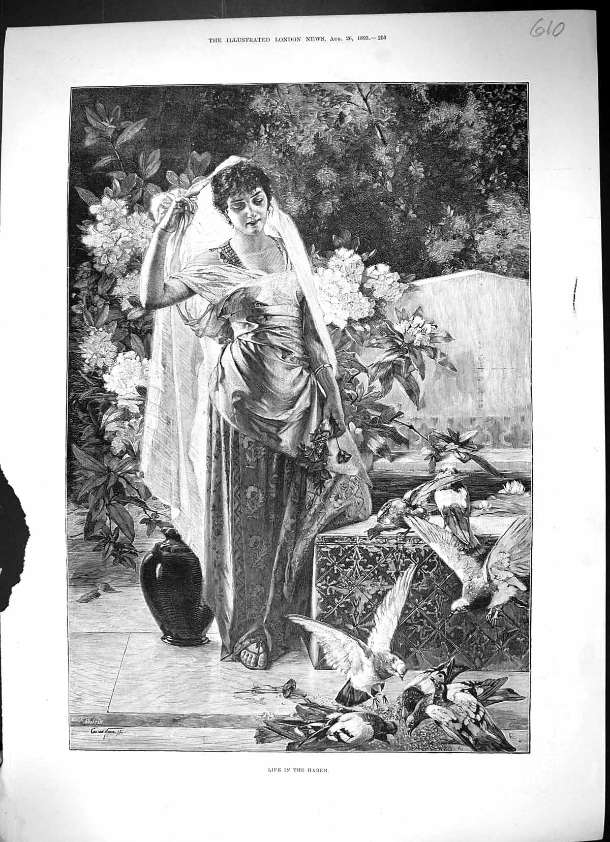 Original Old Antique Print 1893 Beautiful Woman Life In The Harem Feeding Birds