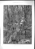 Antique Old Print Elk Sambhur Deer Hunting Ceylon Bamboos Sport Hunter 1889