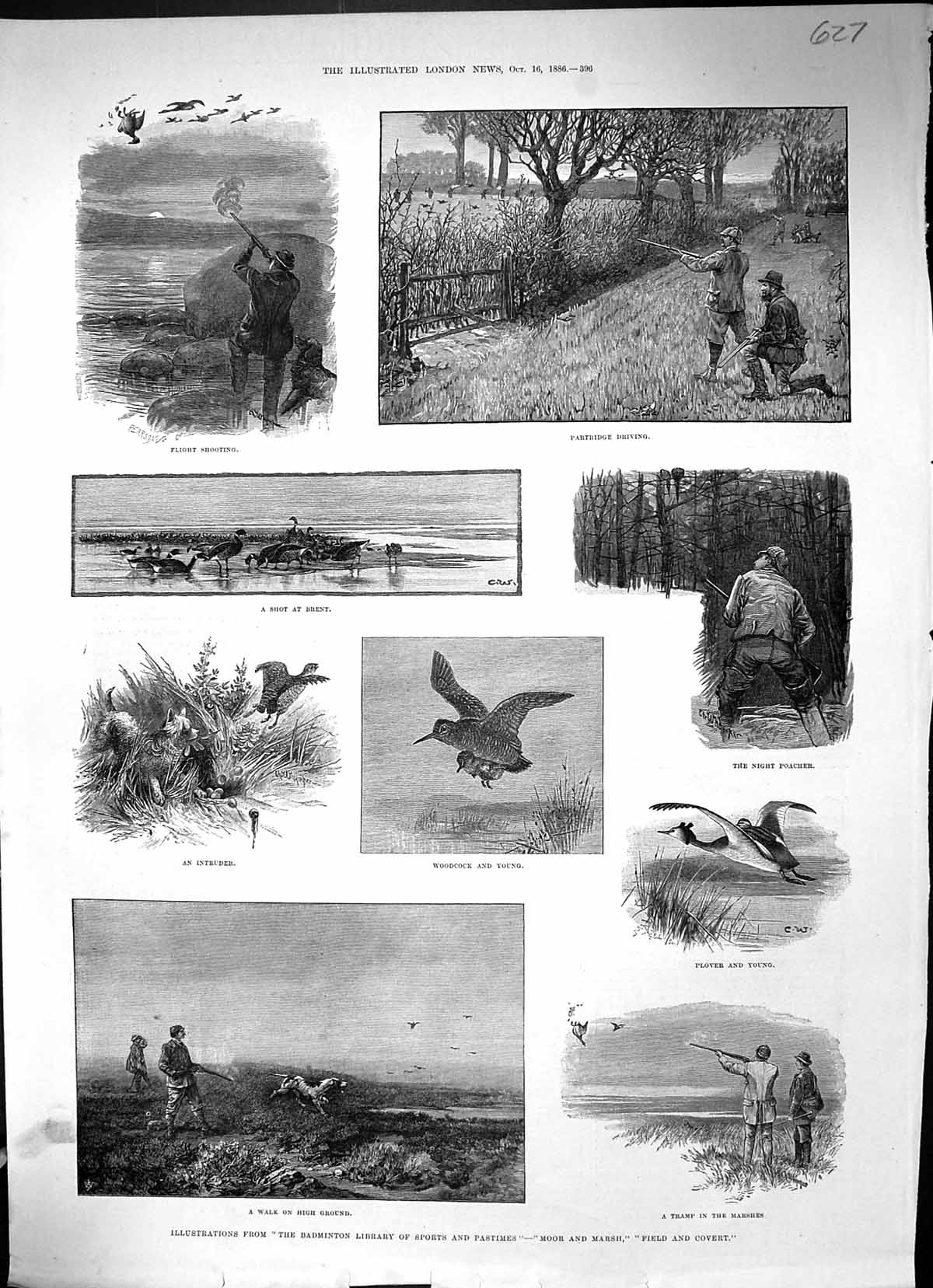 Old 1886 Flight Shooting Hunting Partridge Woodcock Plover Brent Spor Victorian