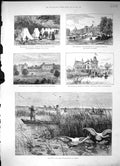 Old Cholera Spain Castle Drottningholm 1885 Prince Wales Swan Shootin Victorian