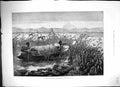 Antique Print Shooting Water Fowl Lake Mirambala Africa Hunting Sport 1881 19th