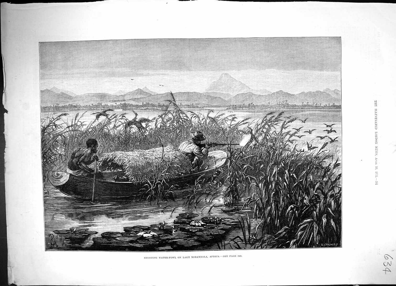 Antique Print Shooting Water Fowl Lake Mirambala Africa Hunting Sport 1881 19th