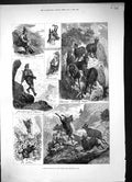 Original Old Antique Print 1880 Chamois Hunting Tyrol Mountains Huntsmen Sport